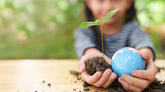 meisje met kleine wereldbol en ontkiemend plantje in de handen