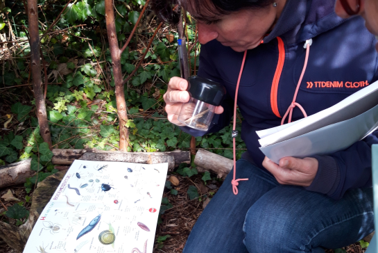 Leerkracht onderzoekt bodemdieren