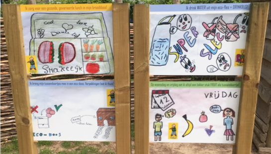 Tekeningen over mos-acties leerlingen De Krekel uit Haaltert 