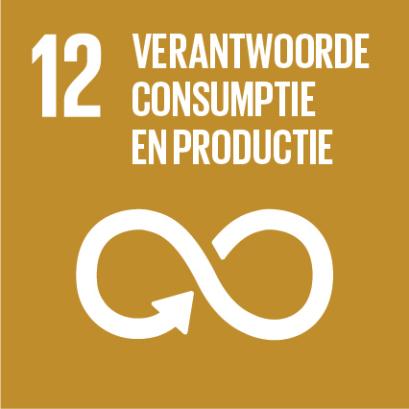 SDG 12 - verantwoorde consumptie en productie