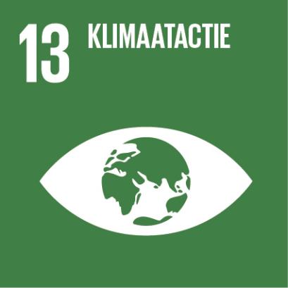 SDG 13 - klimaatactie