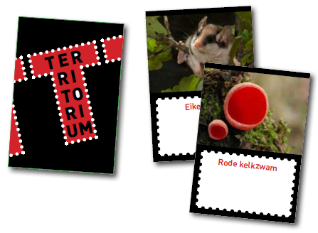 kaartjes van het spel Territorium