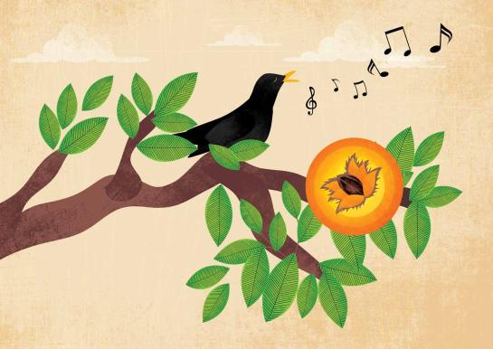 Boom zkt school prent 5 merel fluit op tak