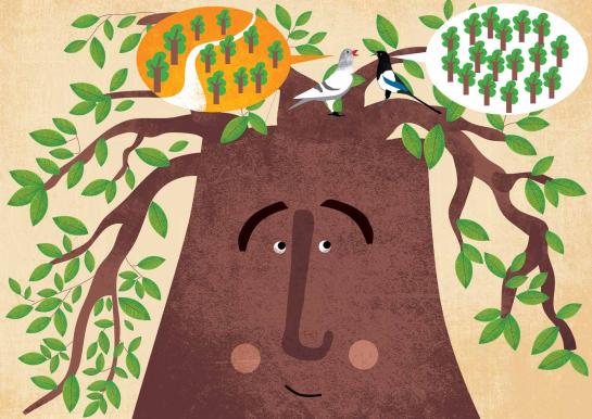 Boom zkt school prent 9 vogels terug op Boom met voorstellen