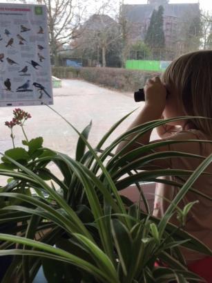 vogels spotten bij boom zoekt school