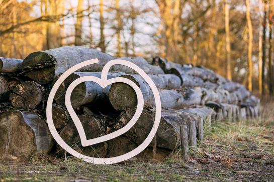 houten MOS-icoon met hartvorming blad