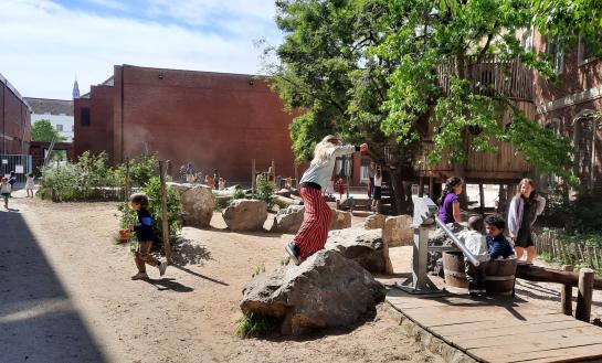 Kinderen klimmen op boomstammen